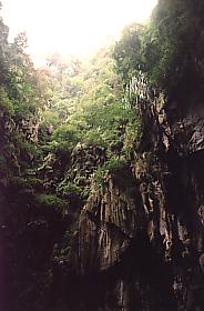 Afbeelding: Batu Caves zicht naar boven