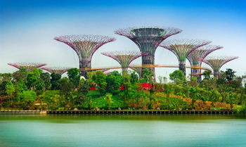Afbeelding: Gardens by the Bay