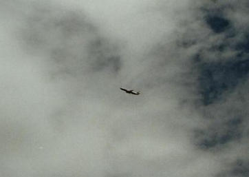 Afbeelding: Op weg richting Amsterdam